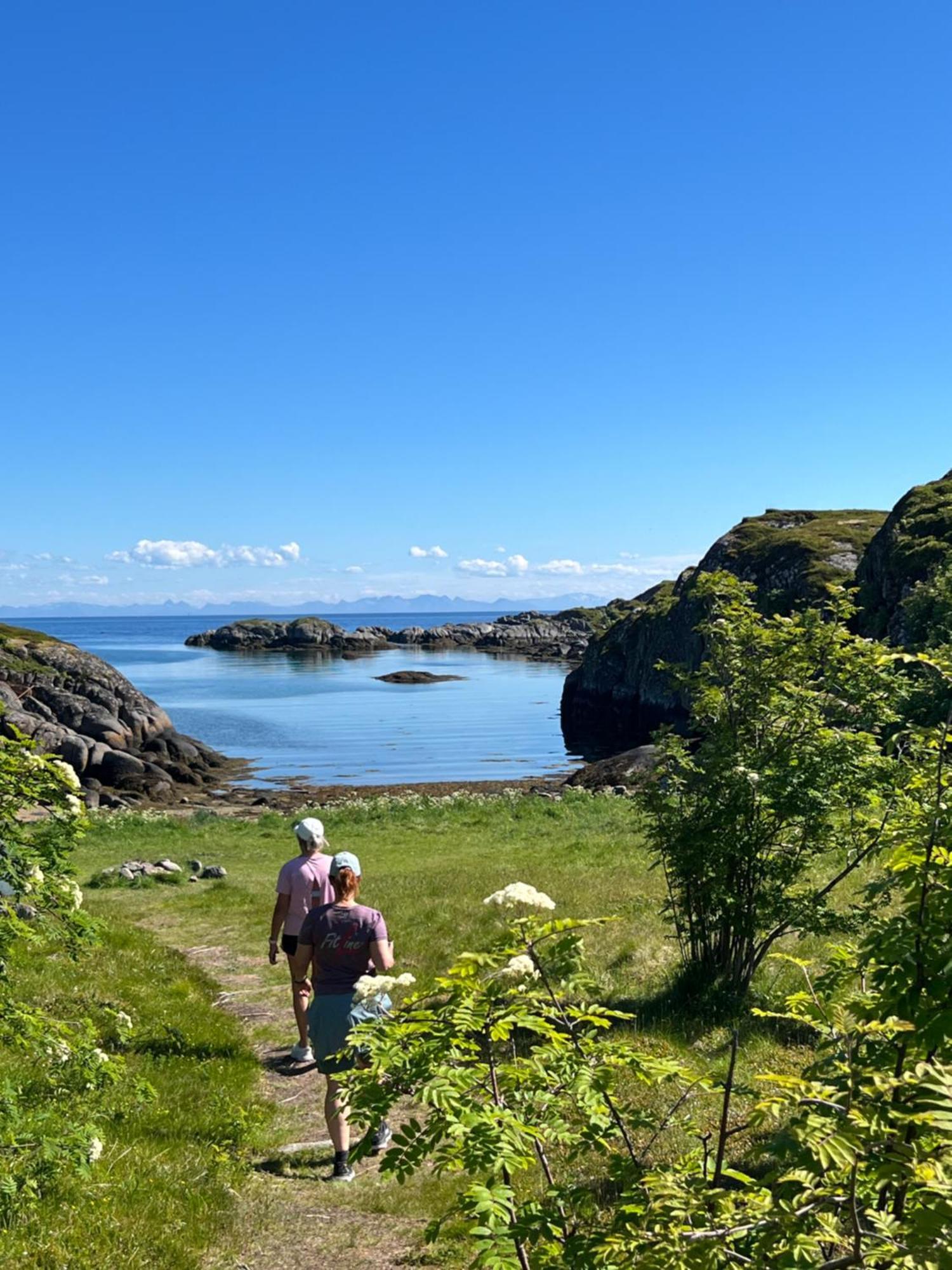 Superior Cabin Ballstad Lofoten Ngoại thất bức ảnh