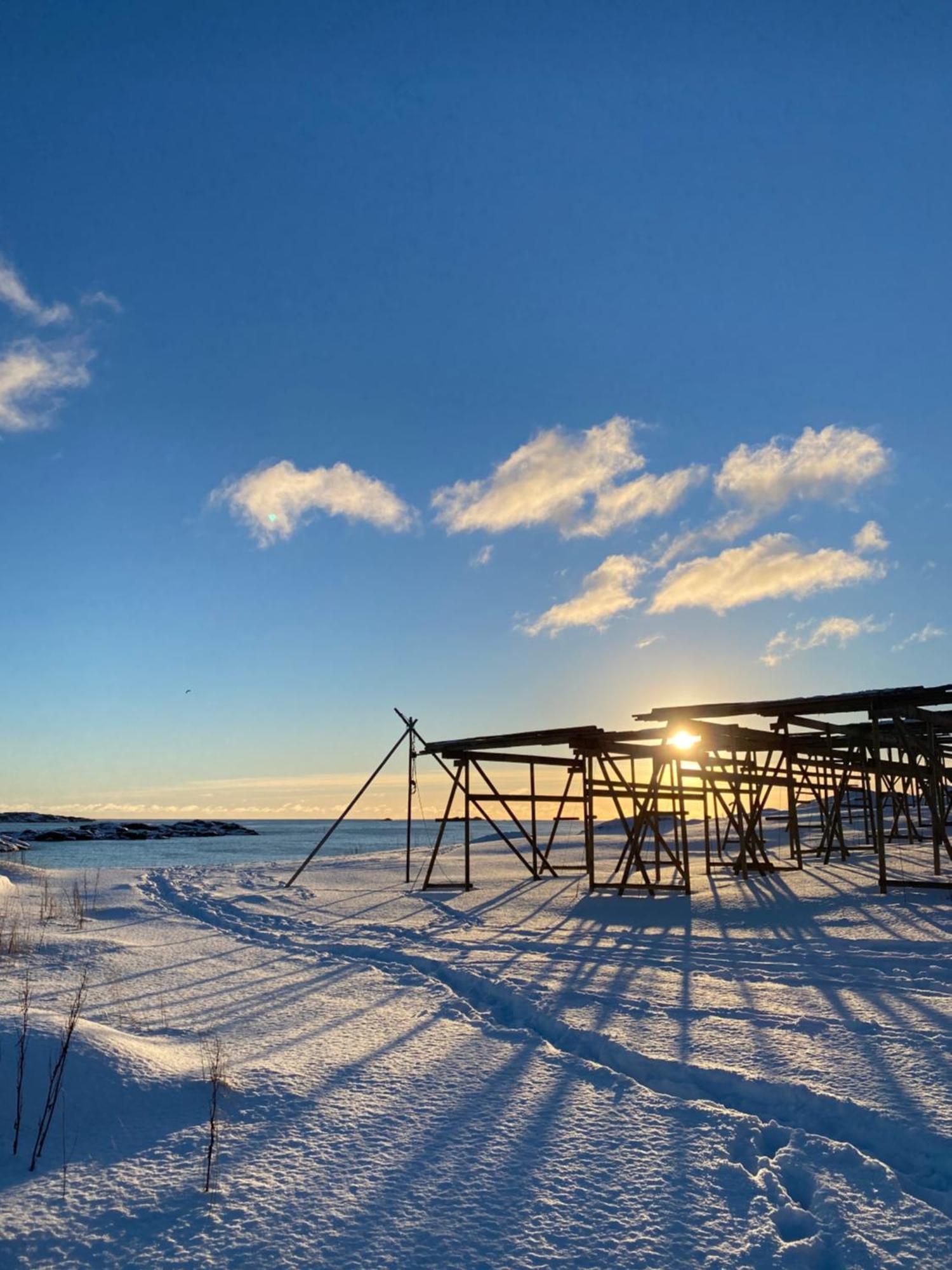 Superior Cabin Ballstad Lofoten Ngoại thất bức ảnh